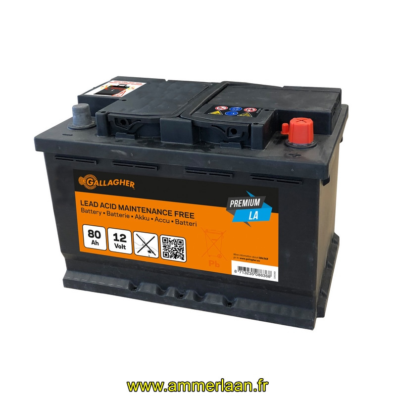 Premium Batterie plomb/acide 12V/80Ah - 278x175x190  Gallagher Réf: 086368