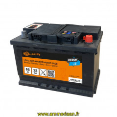 Premium Batterie plomb/acid 12V/65Ah - 242x175x190 Gallagher Réf: 086375