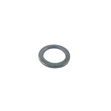 Disque - 31038: 31 x45 x5 d'origine Royal de Boer - 5560-5806-025
