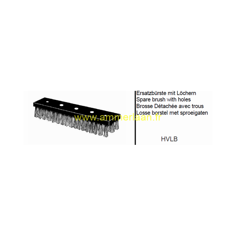 Spare brush with 5 holes