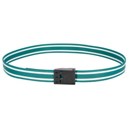 Collier De Marquage 40mm, Fermoir Boucle, Nylon Vert / blanc 130cm (1x)